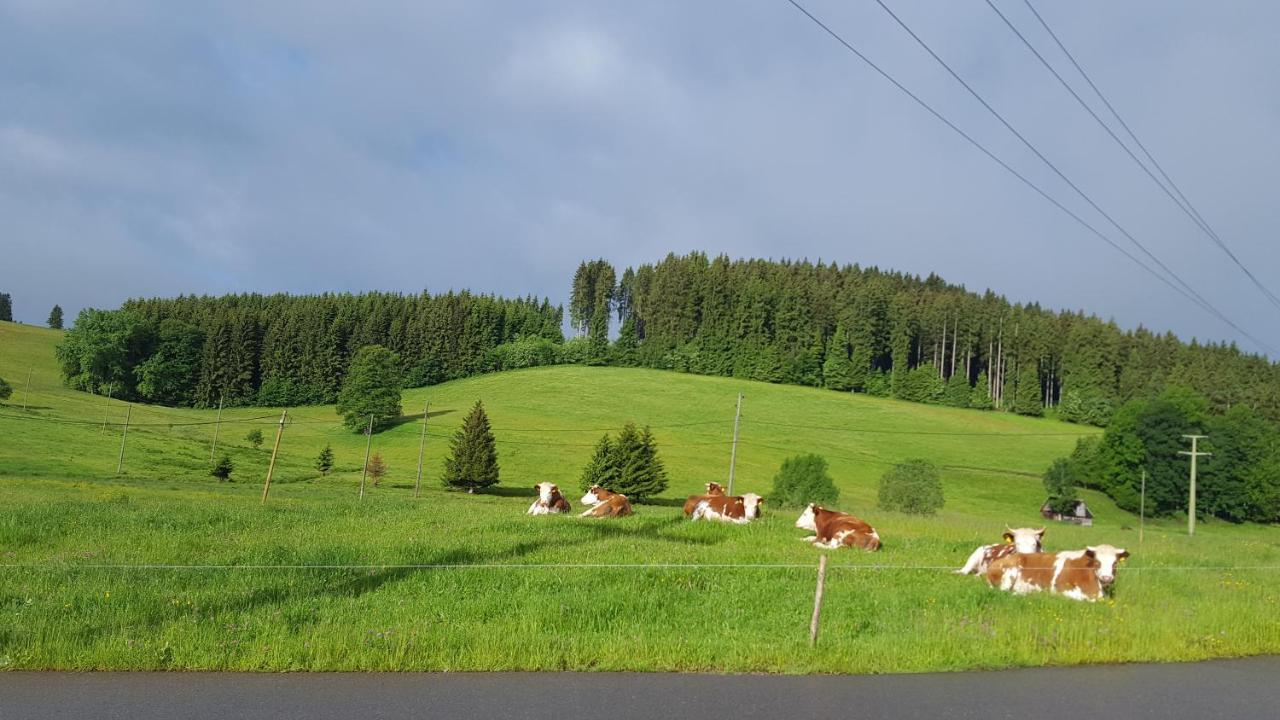 Appartement Rehblick Eisenbach  Luaran gambar