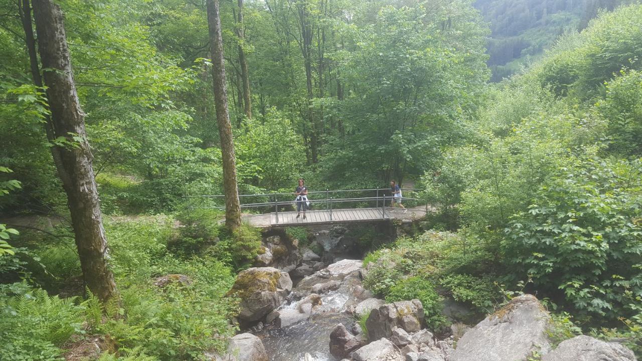 Appartement Rehblick Eisenbach  Luaran gambar