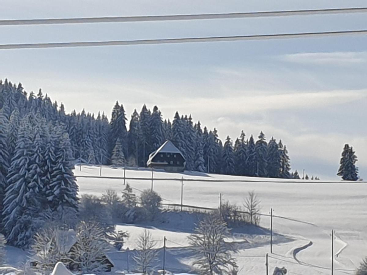 Appartement Rehblick Eisenbach  Luaran gambar