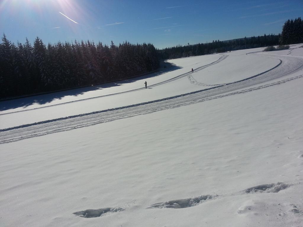 Appartement Rehblick Eisenbach  Bilik gambar