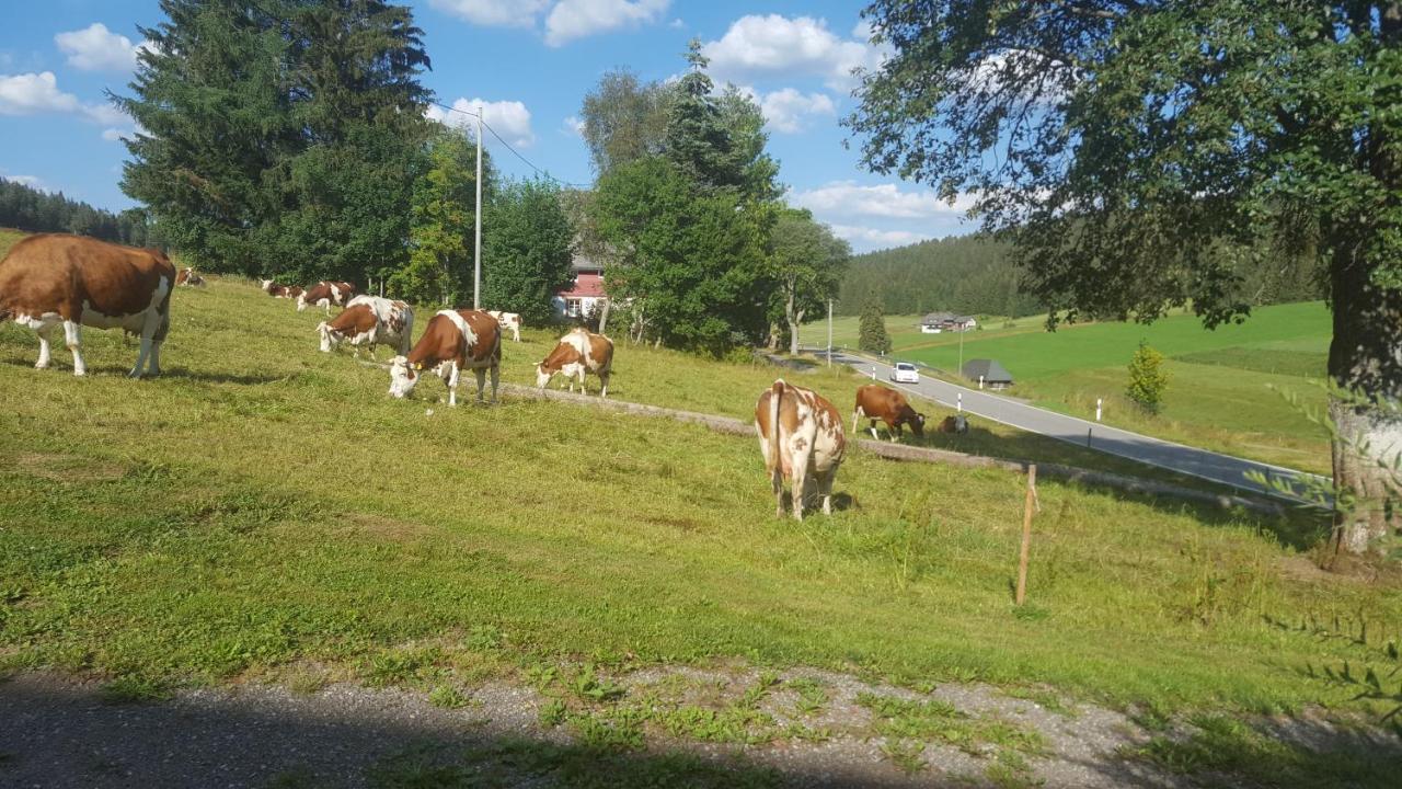 Appartement Rehblick Eisenbach  Luaran gambar