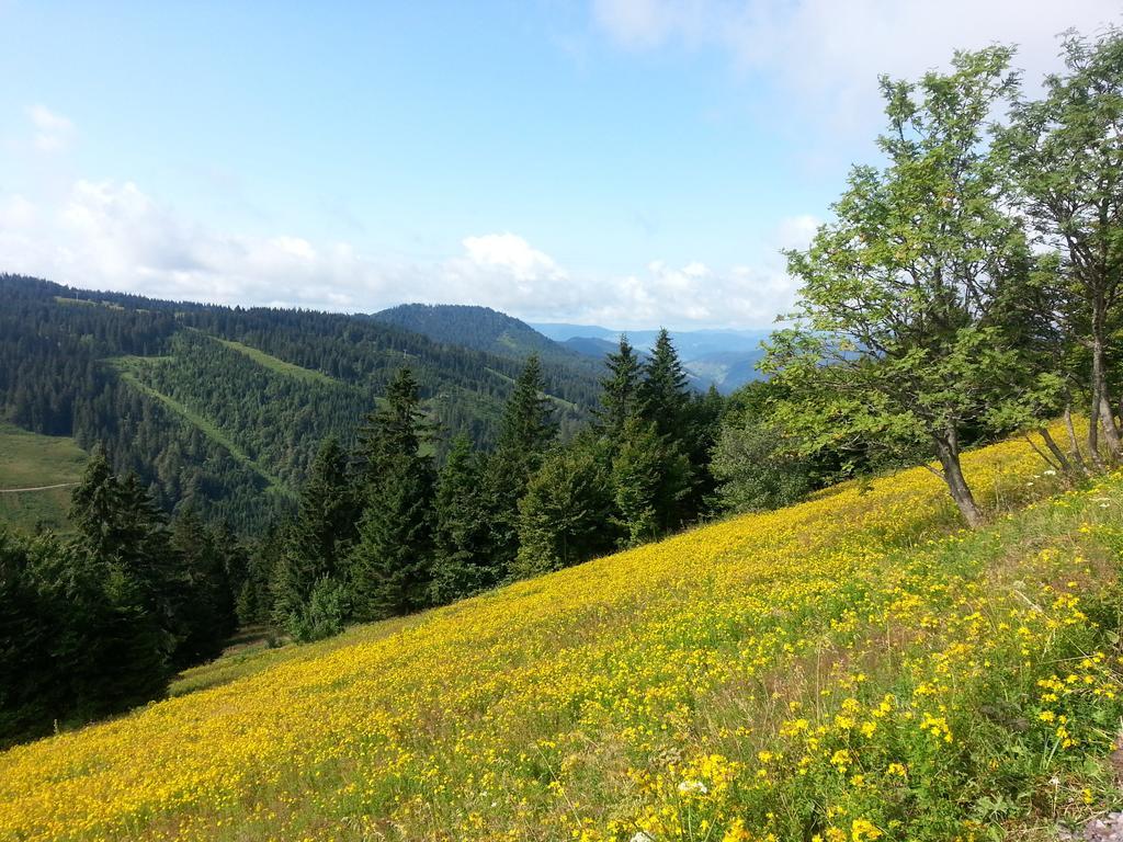 Appartement Rehblick Eisenbach  Bilik gambar