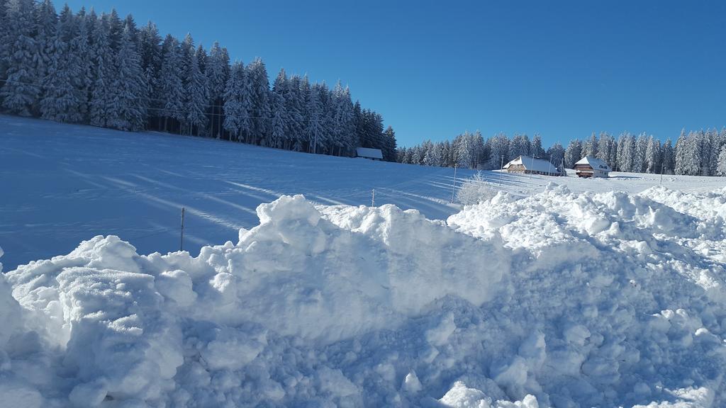 Appartement Rehblick Eisenbach  Luaran gambar