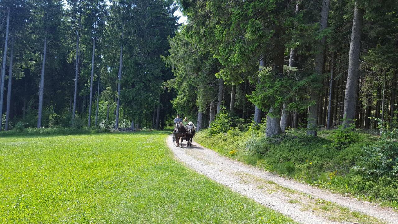 Appartement Rehblick Eisenbach  Luaran gambar