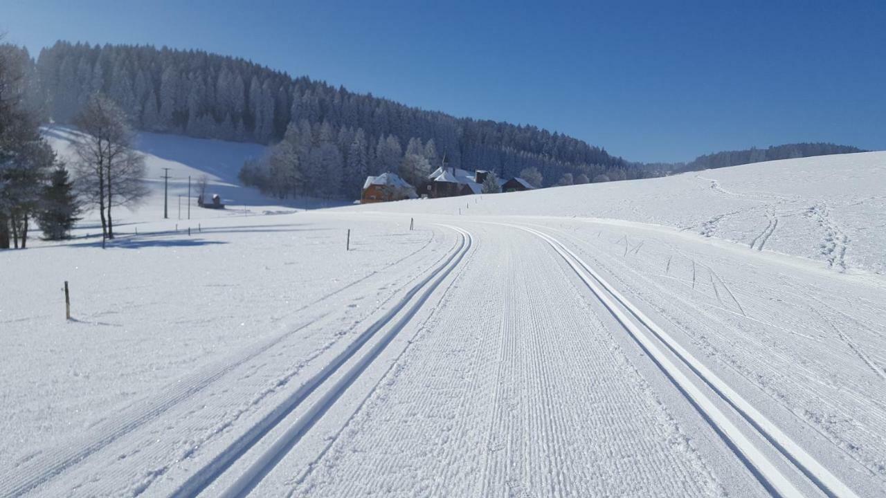 Appartement Rehblick Eisenbach  Luaran gambar